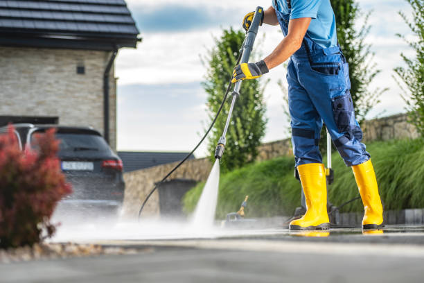 Best Animal Enclosure Cleaning  in Orion, IL